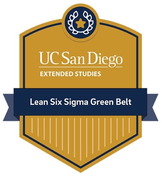 Sigma Global Nursing Excellence